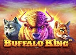 Buffalo King This Is Vegas Casino Slot