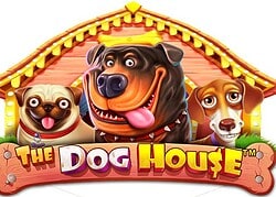 Dog House This Is Vegas Casino Game